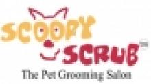 Scoopy Scrub