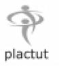 Plactut Consultants Inc