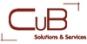 Cub Solutions and Services